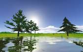 Cubemap-Wasser mit Szene